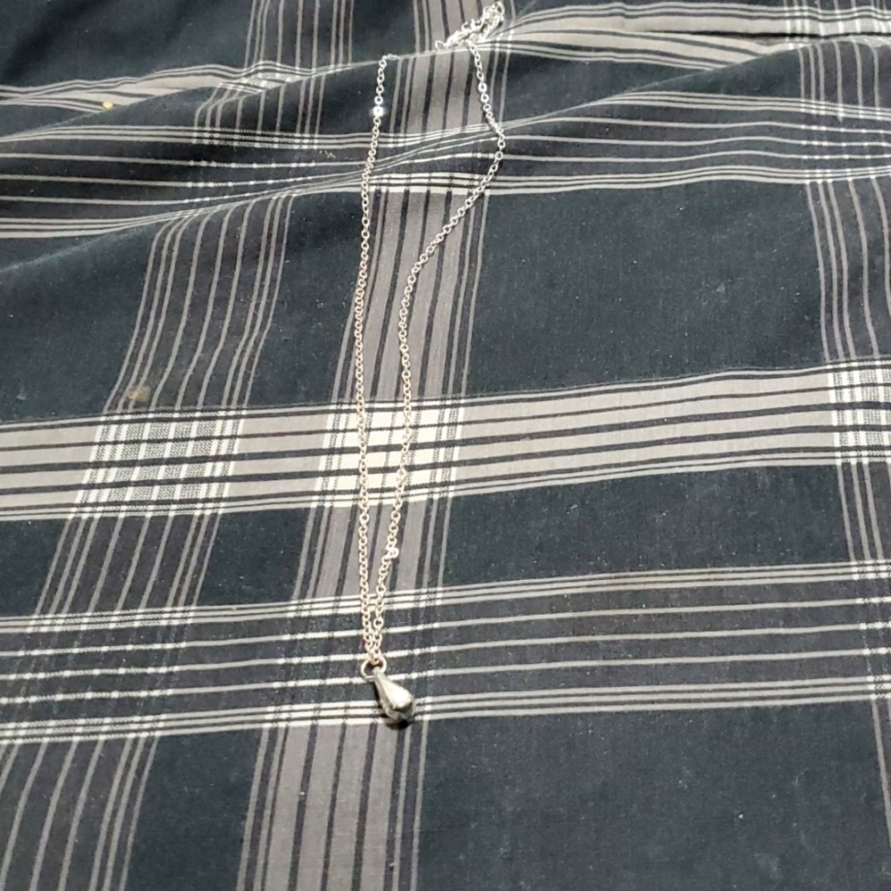 925 Stealing Silver Necklace